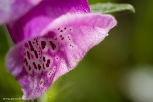 IMG_8143